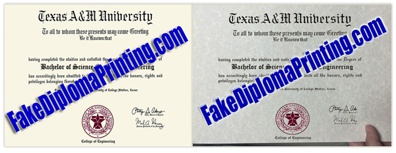Fake Diplomas Sample Printed for Client.
