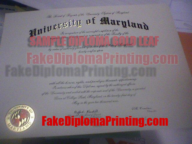 diploma sample